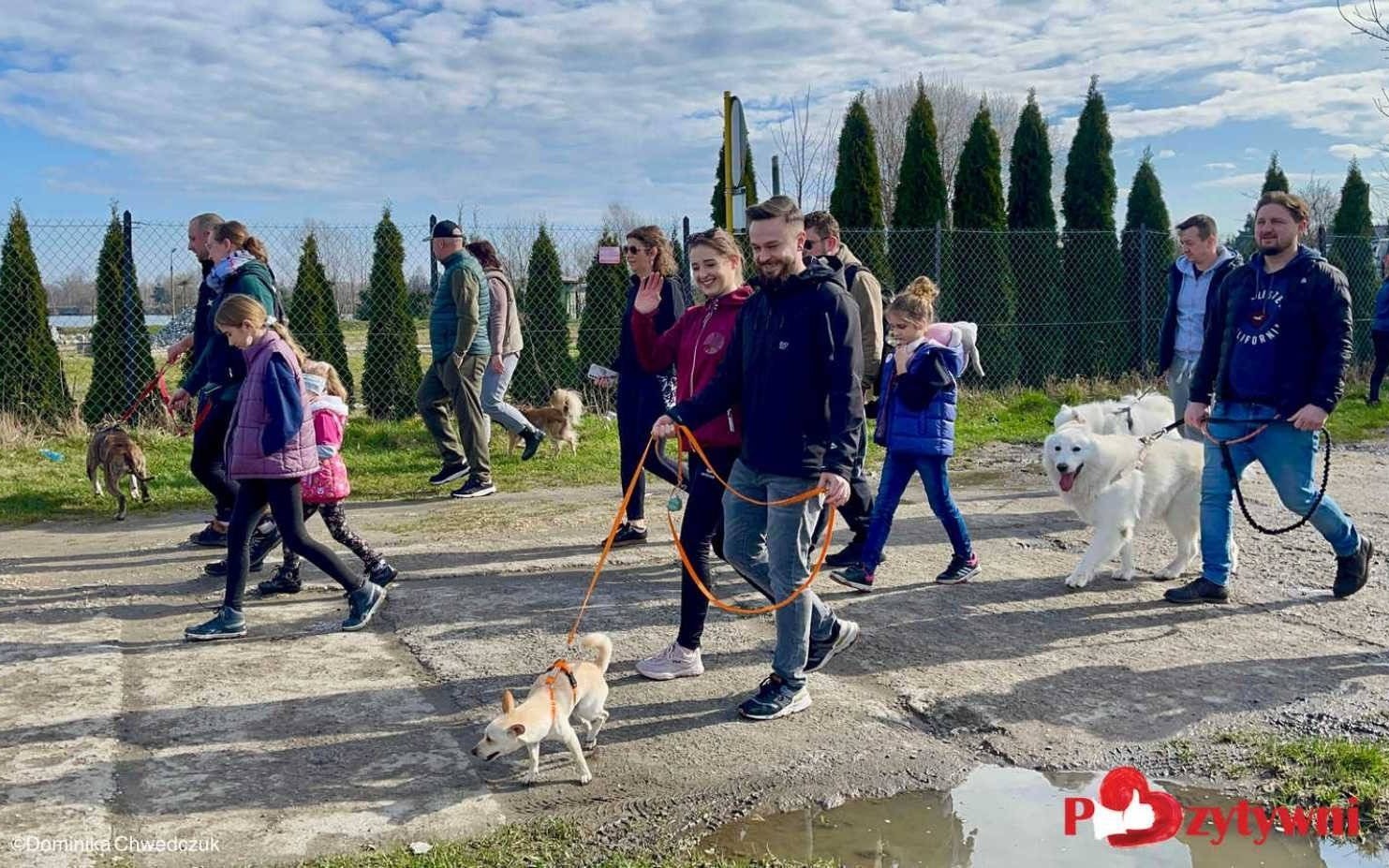 Oświęcimskie Wieści z ratusza – FILM