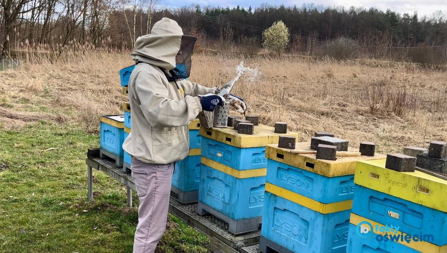 Tę pszczółkę, którą tu widzicie… – FILM