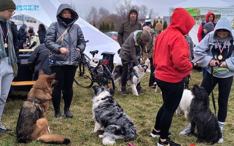 Lodowata woda, gorące serca. Pomagali bezdomnym zwierzętom – FOTO