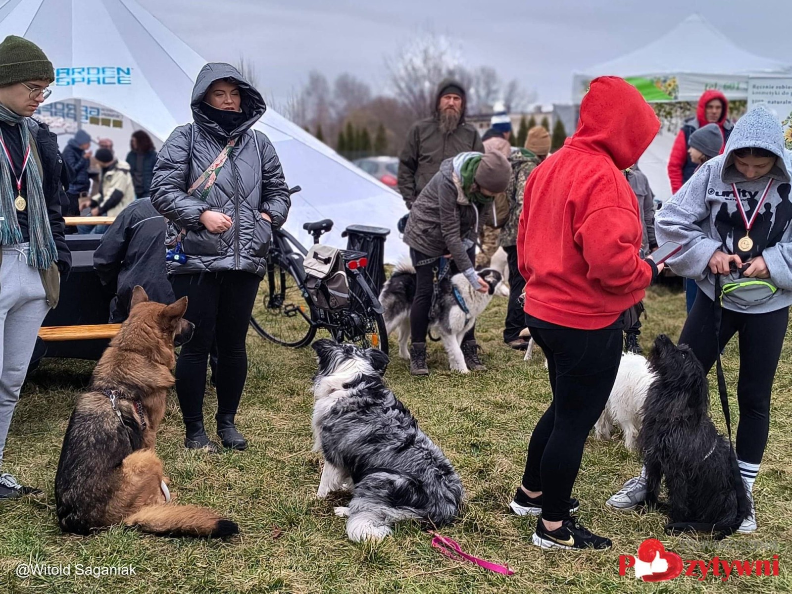 Lodowata woda, gorące serca. Pomagali bezdomnym zwierzętom – FOTO