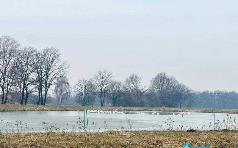 Będzie gorąco. Spotkanie w sprawie Stawów Adolfińskich we wtorek