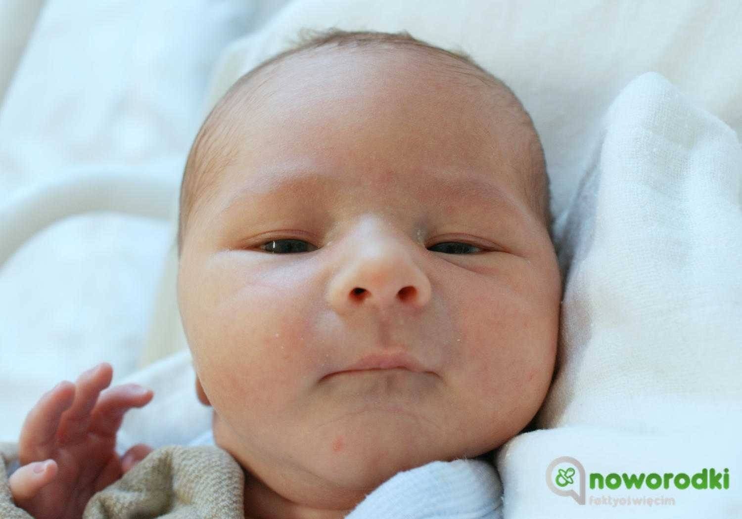 Noworodkowa galeria Faktów Oświęcim – FOTO