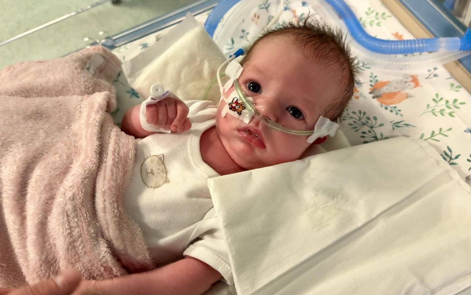 Reanimowali ją dwa razy. Teraz potrzebuje naszej pomocy – FOTO