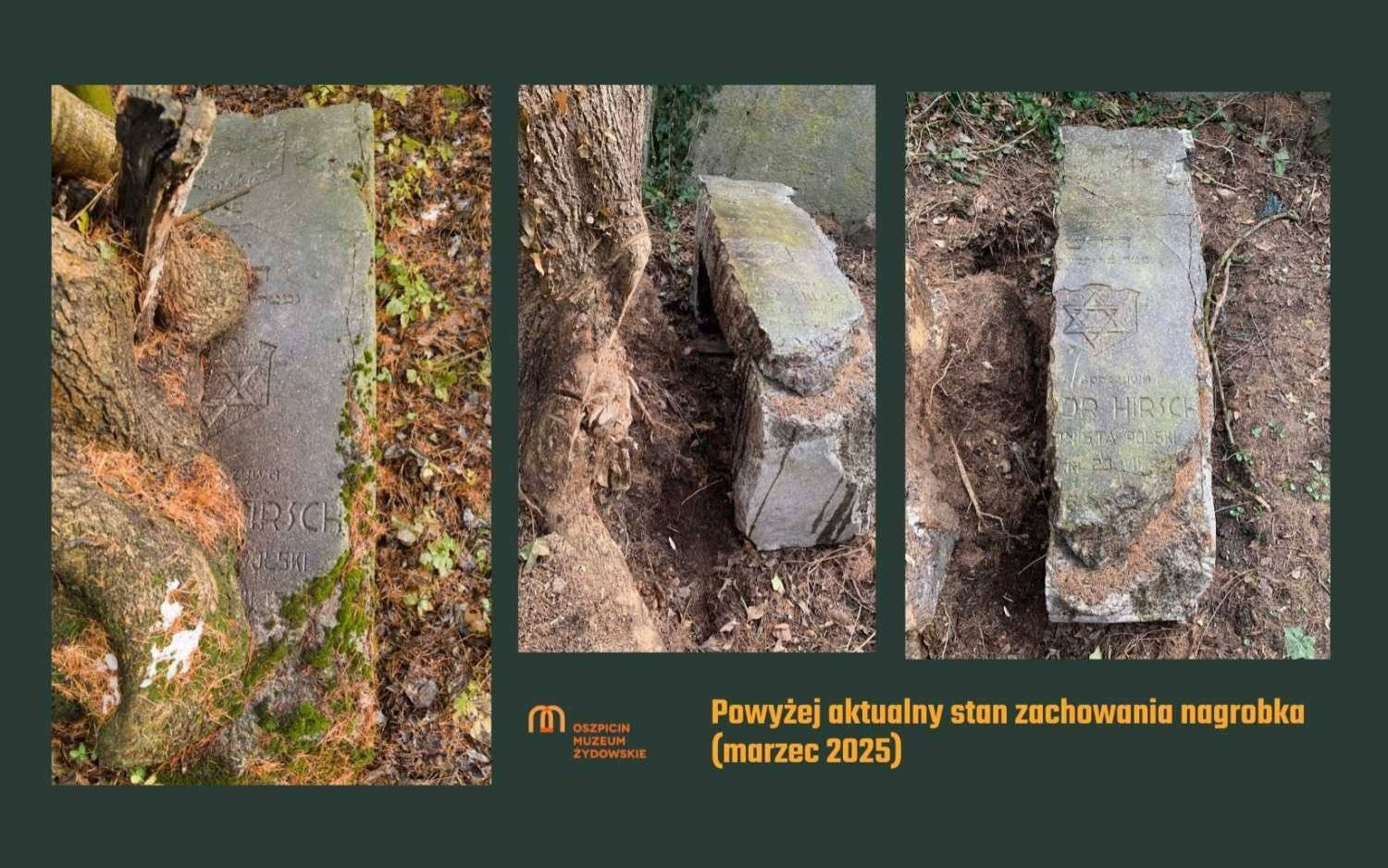 Ocalić nagrobek legionisty na cmentarzu żydowskim – FOTO