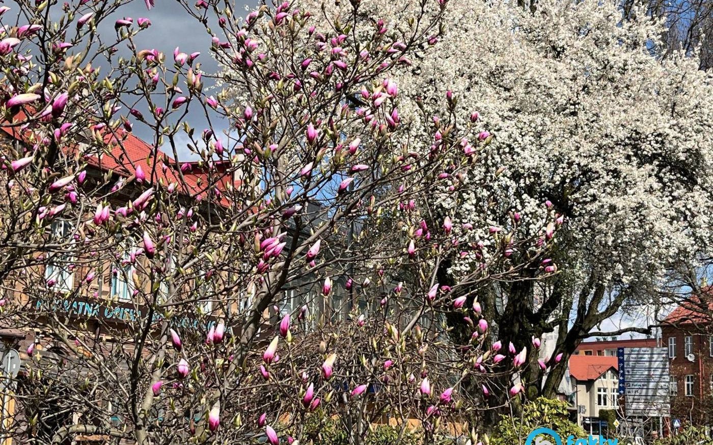 Bez parasola i wiosennie. Pogoda na święta w powiecie oświęcimskim