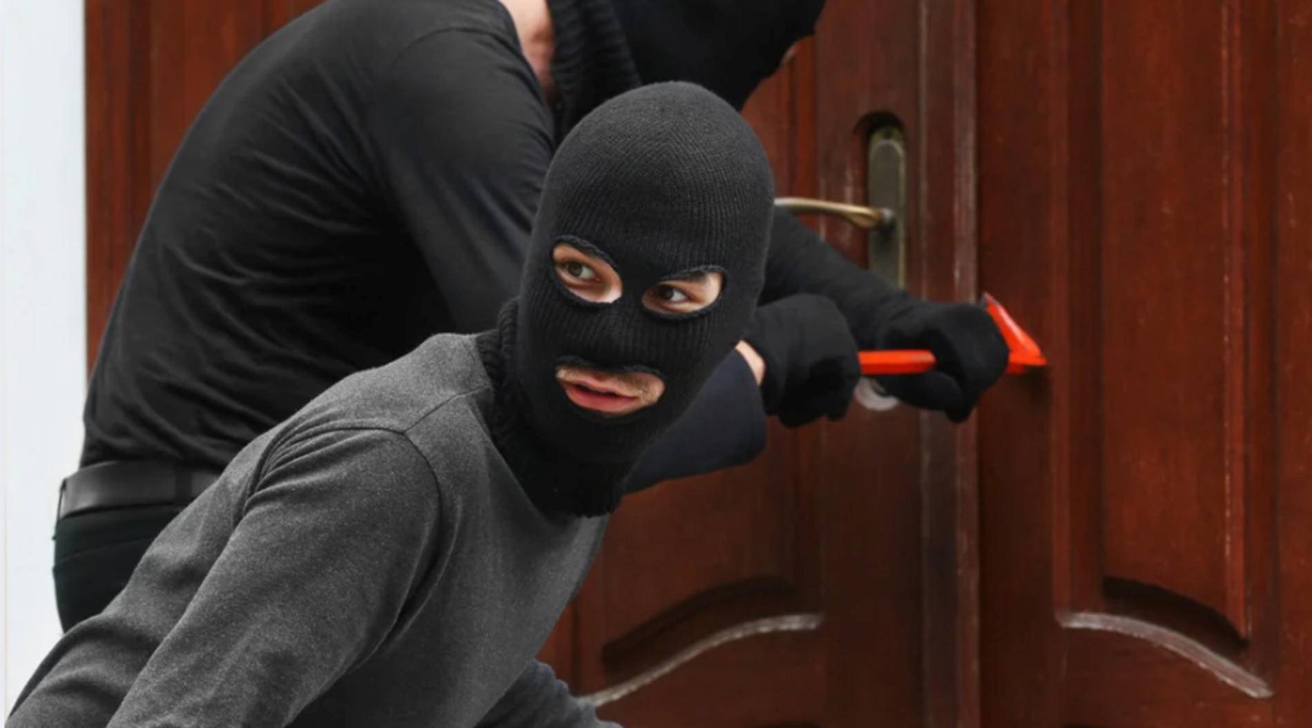 Otruli psa i okradli dom w Bulowicach