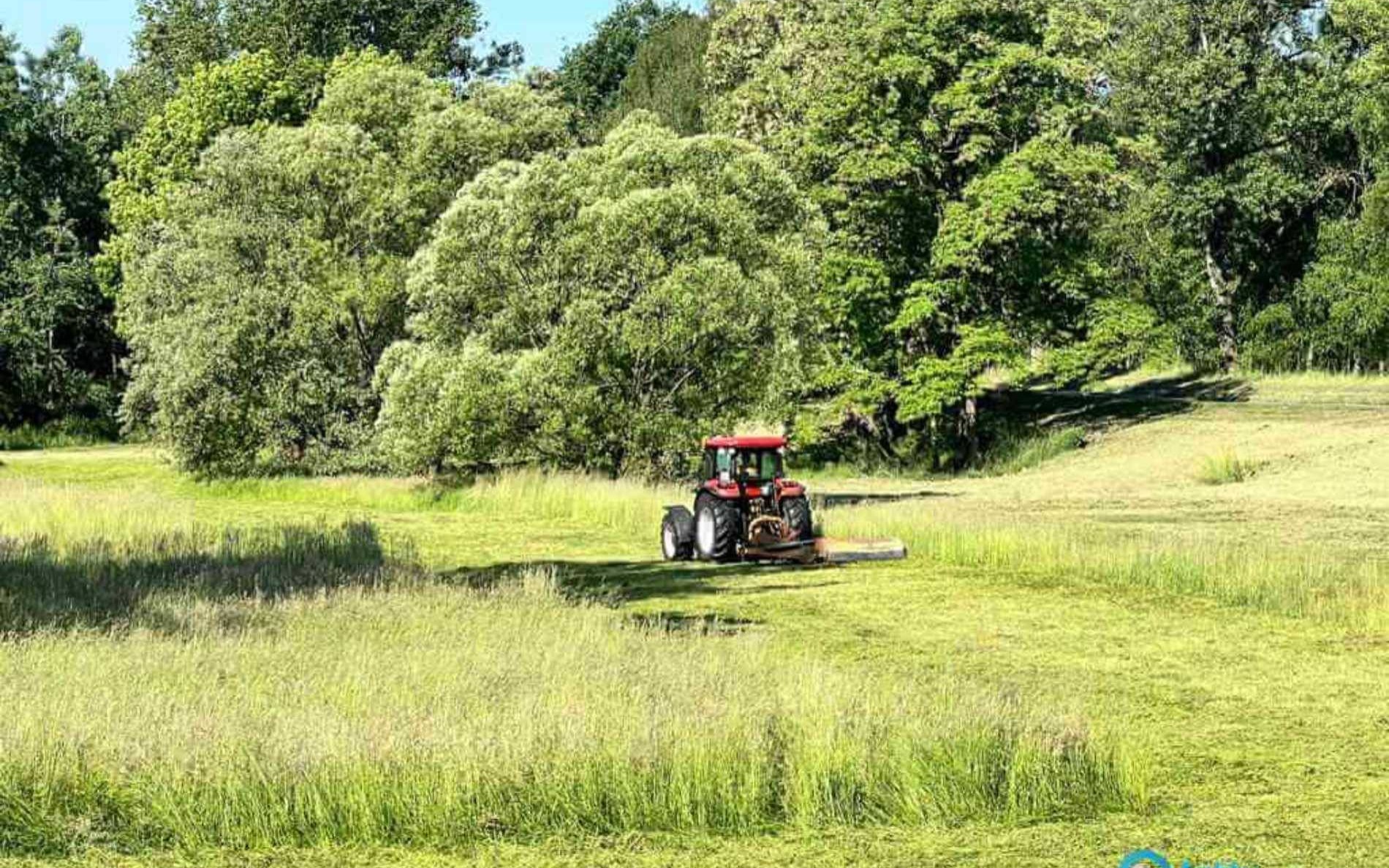 Myśliwi ratują zwierzęta przed nożami kosiarek