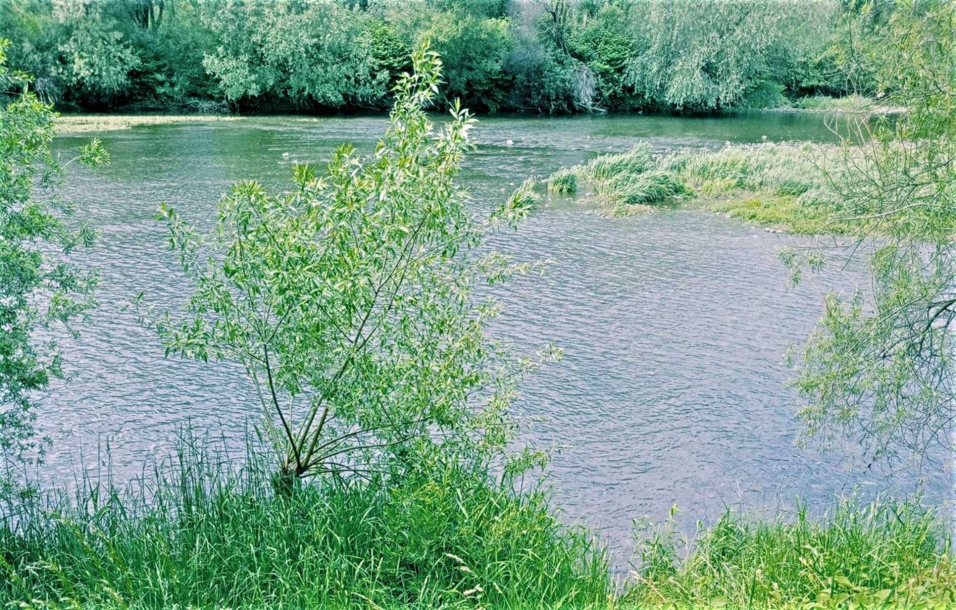 Seniorka pojechała rowerem na pole uprawne. Utonęła w rzece