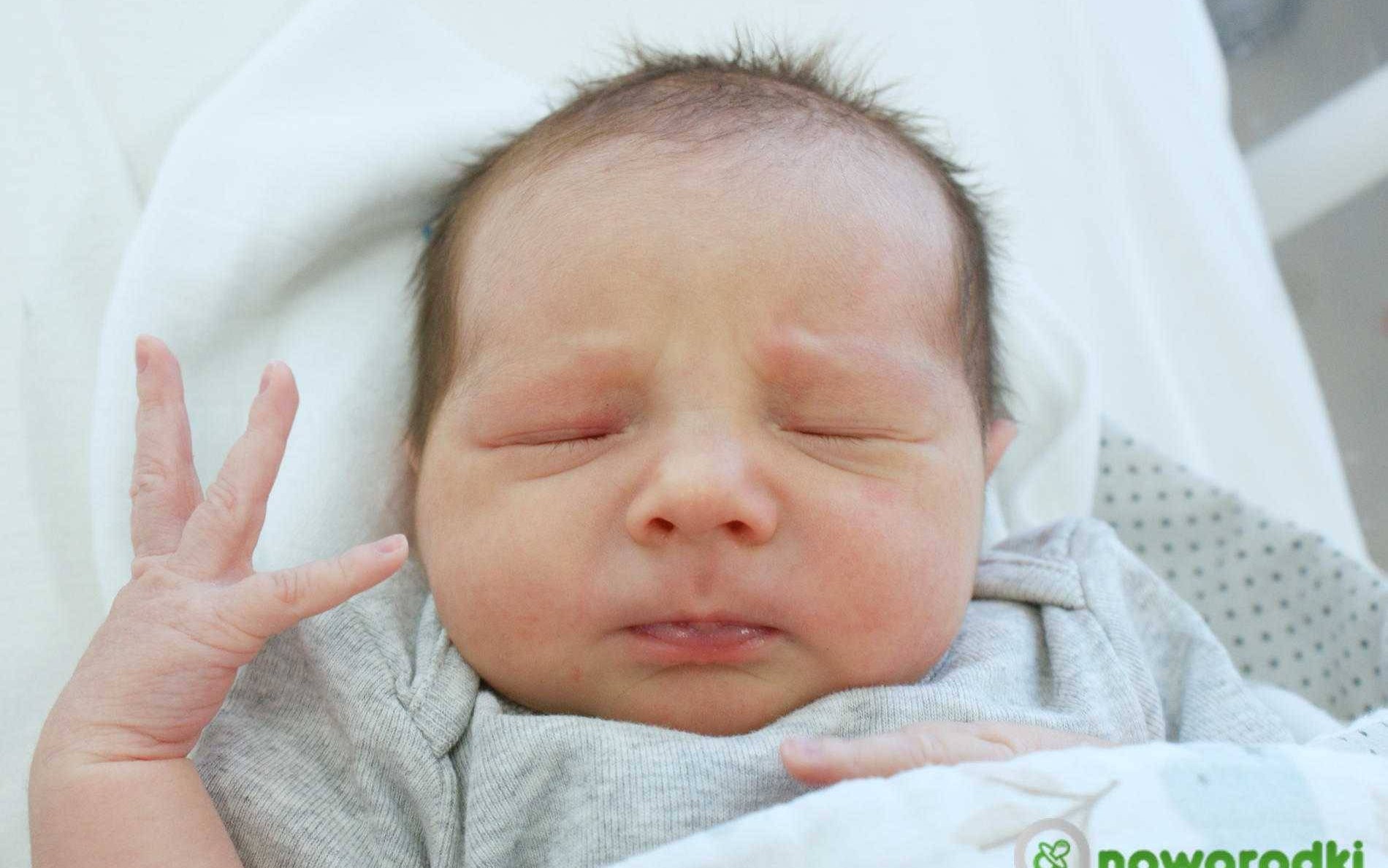 Noworodkowa galeria Faktów Oświęcim – FOTO