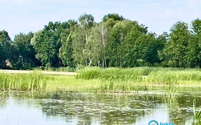 Stawy Adolfińskie stały się zespołem przyrodniczo-krajobrazowym – FILM