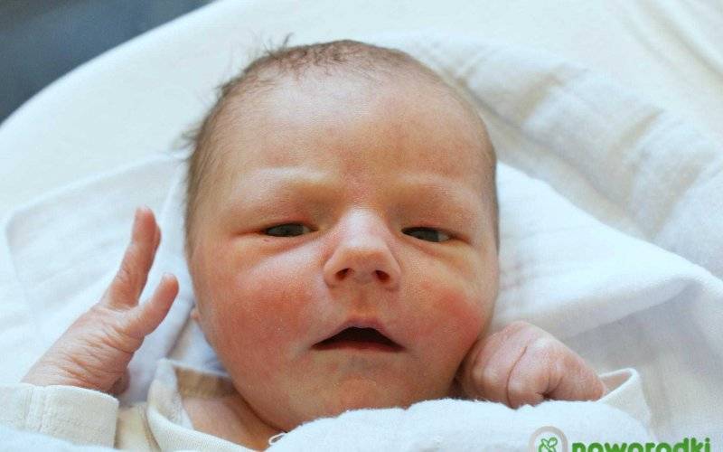 Noworodkowa galeria Faktów Oświęcim – FOTO