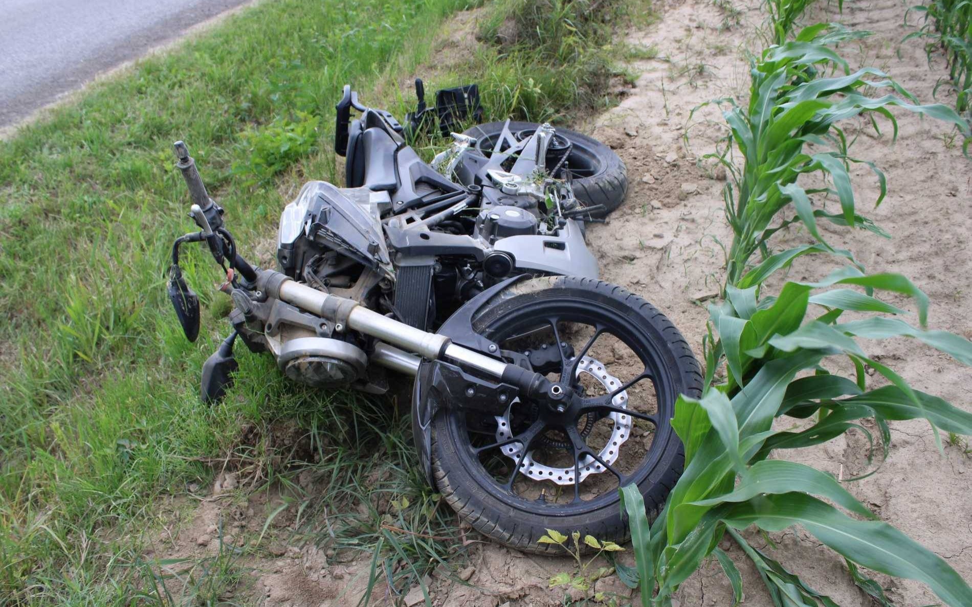 Motocyklem wprost do kukurydzy