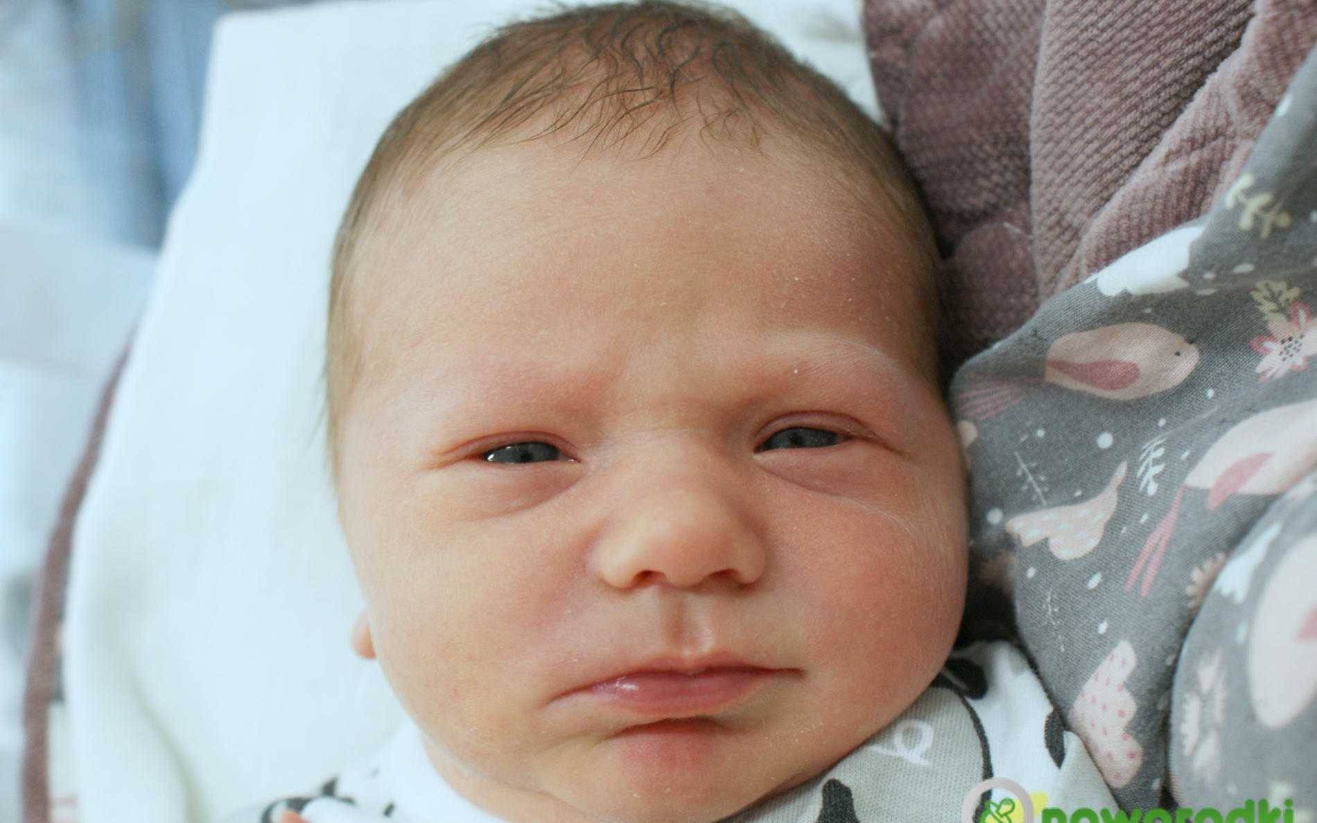 Noworodkowa galeria Faktów Oświęcim – FOTO