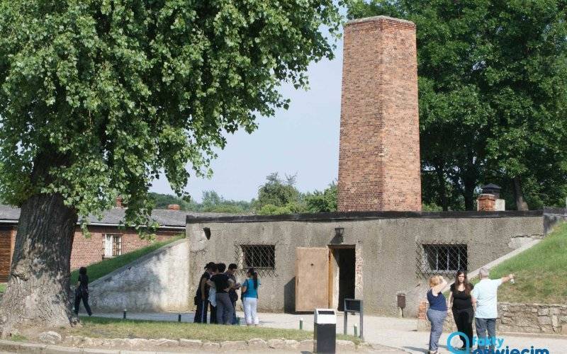 Grzegorz Braun neguje istnienie komór gazowych w Auschwitz