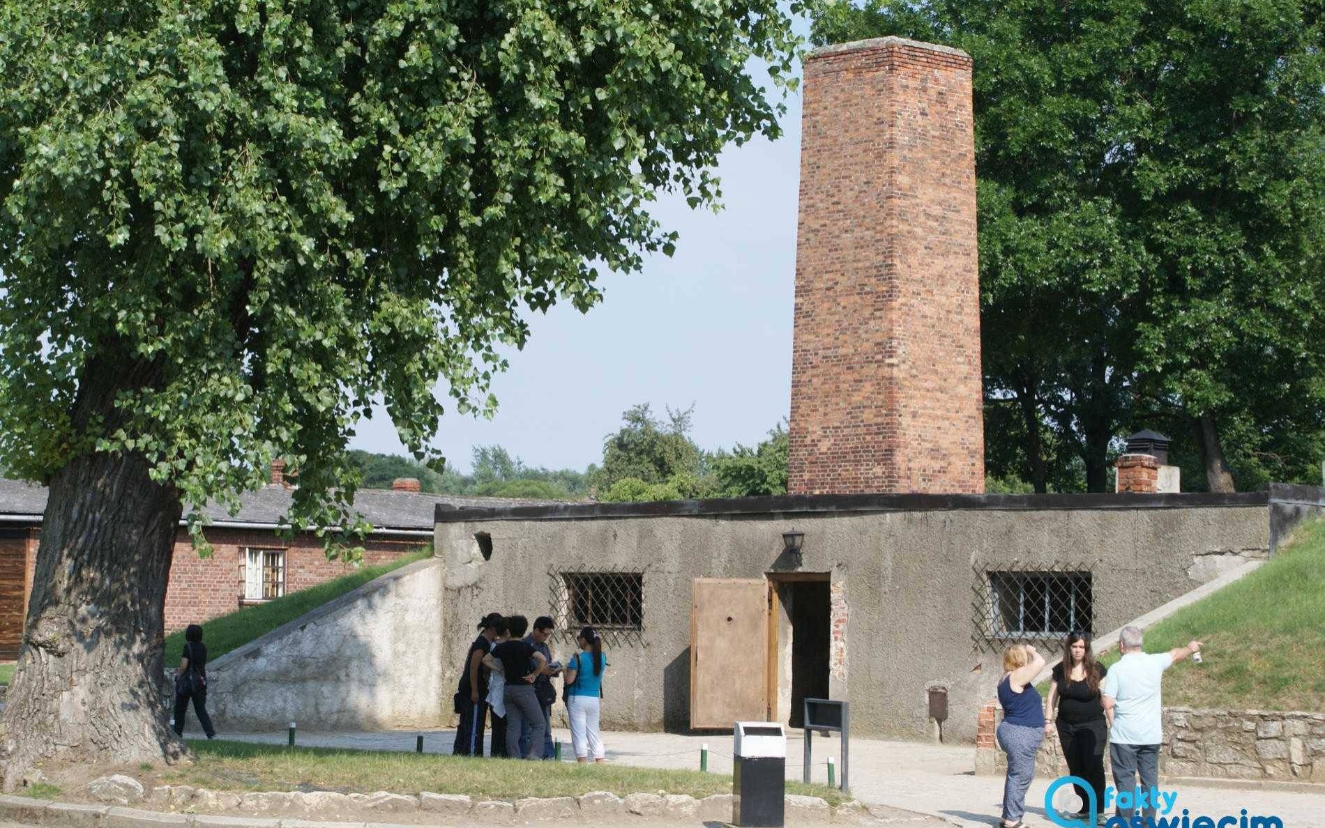 Grzegorz Braun neguje istnienie komór gazowych w Auschwitz