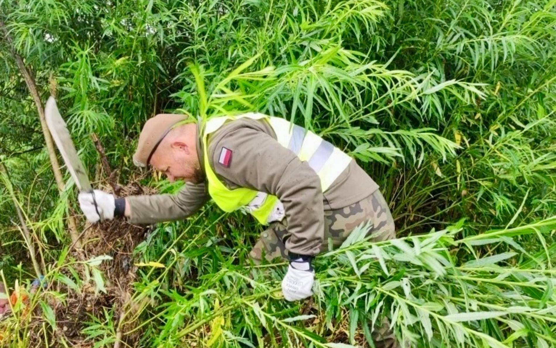 Żołnierze WOT wspierali Kęty przy Bulówce – FOTO