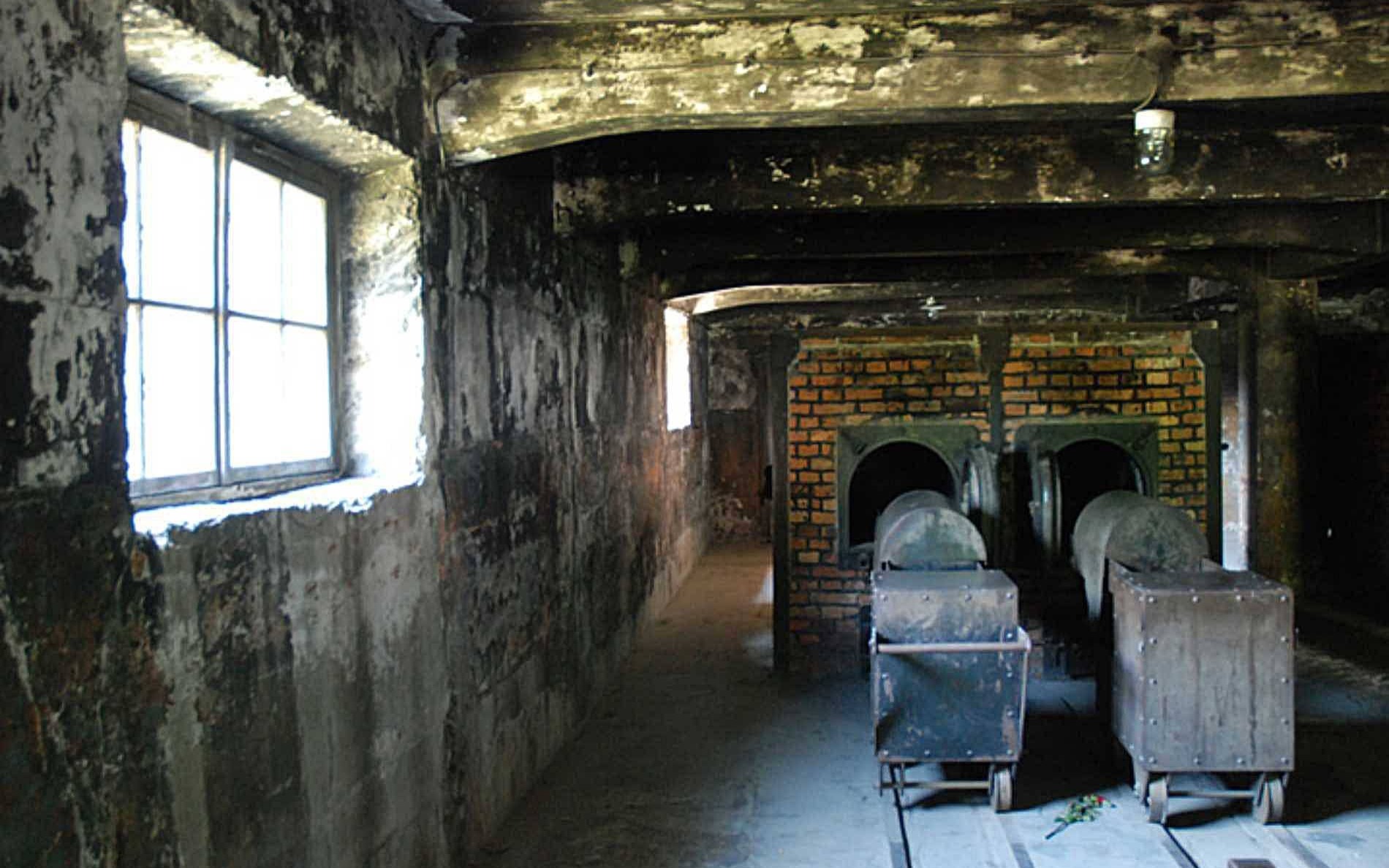 Dostaliśmy z Nowego Jorku list w sprawie słów posła Brauna