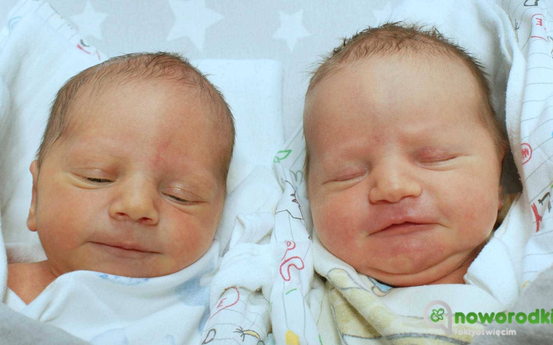 Noworodkowa galeria Faktów Oświęcim – FOTO