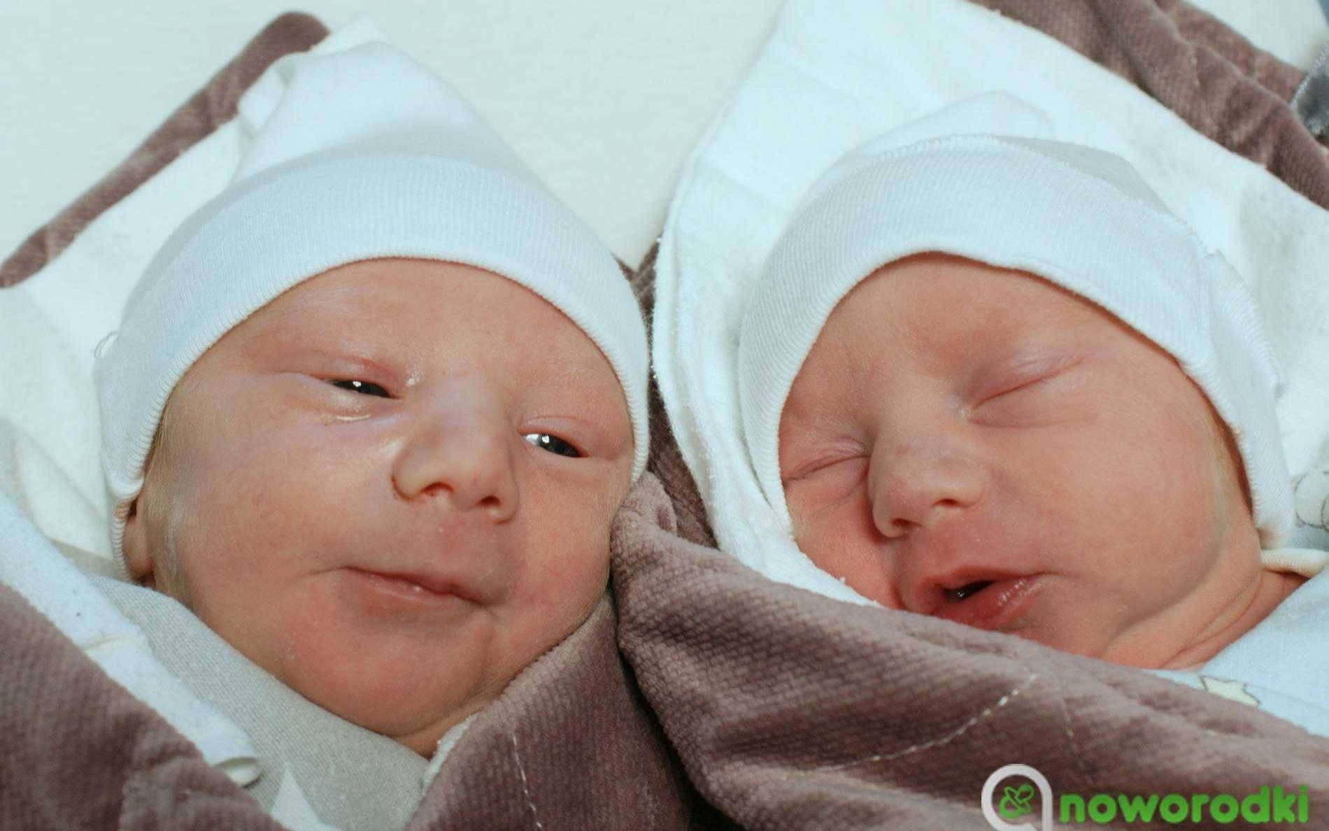 Noworodkowa galeria Faktów Oświęcim – FOTO