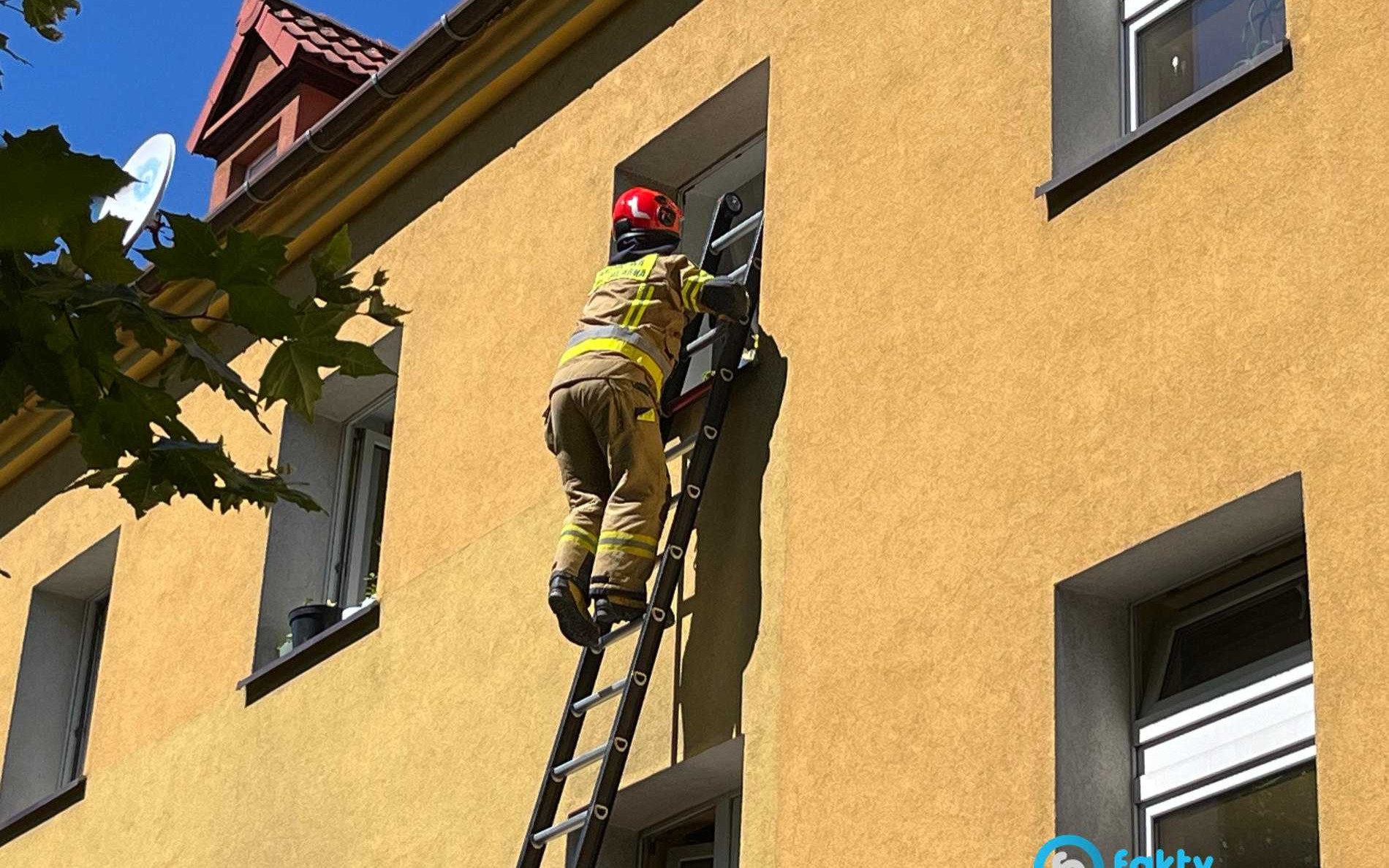 Słuchawki postawiły służby na równe nogi – FOTO