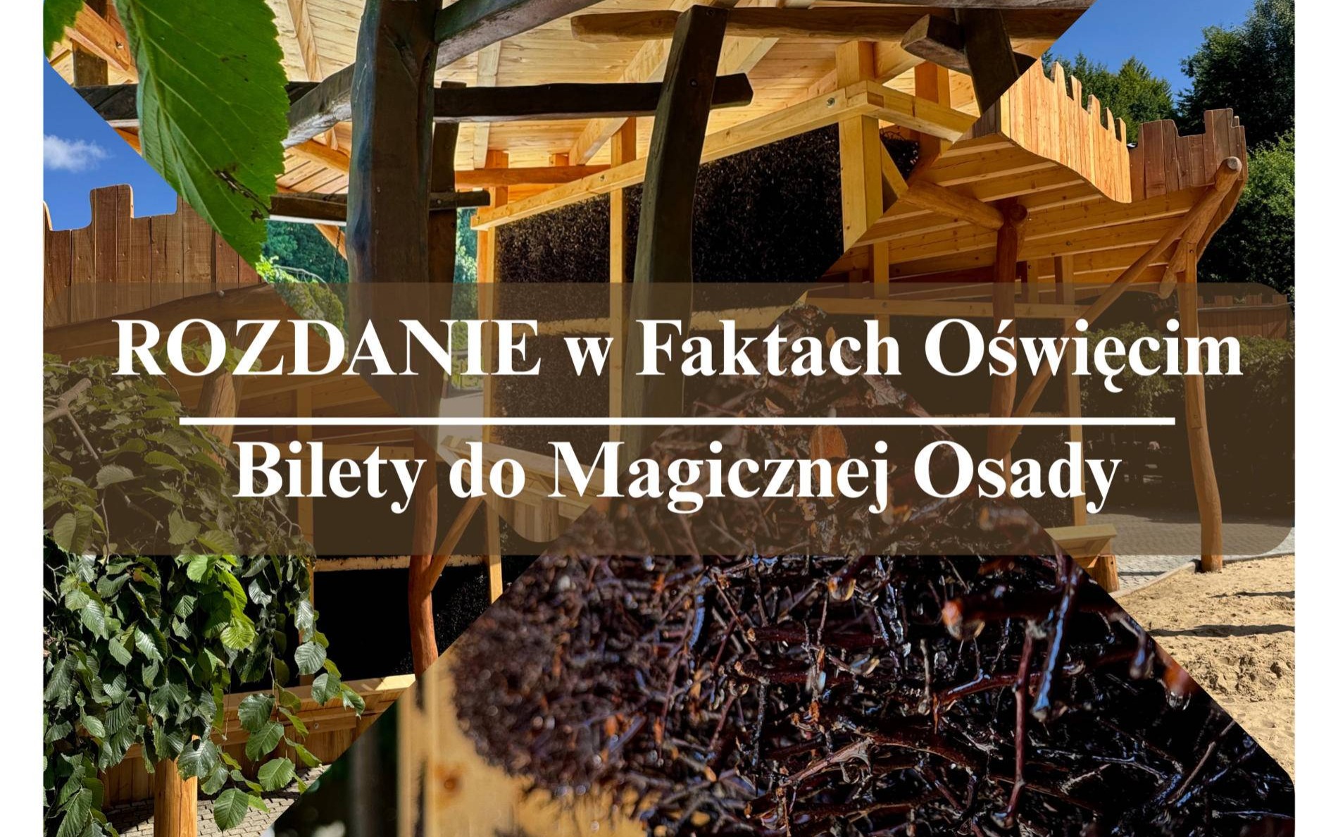 Godzina w tężni jak trzy dni nad Bałtykiem. Mamy dla was bilety