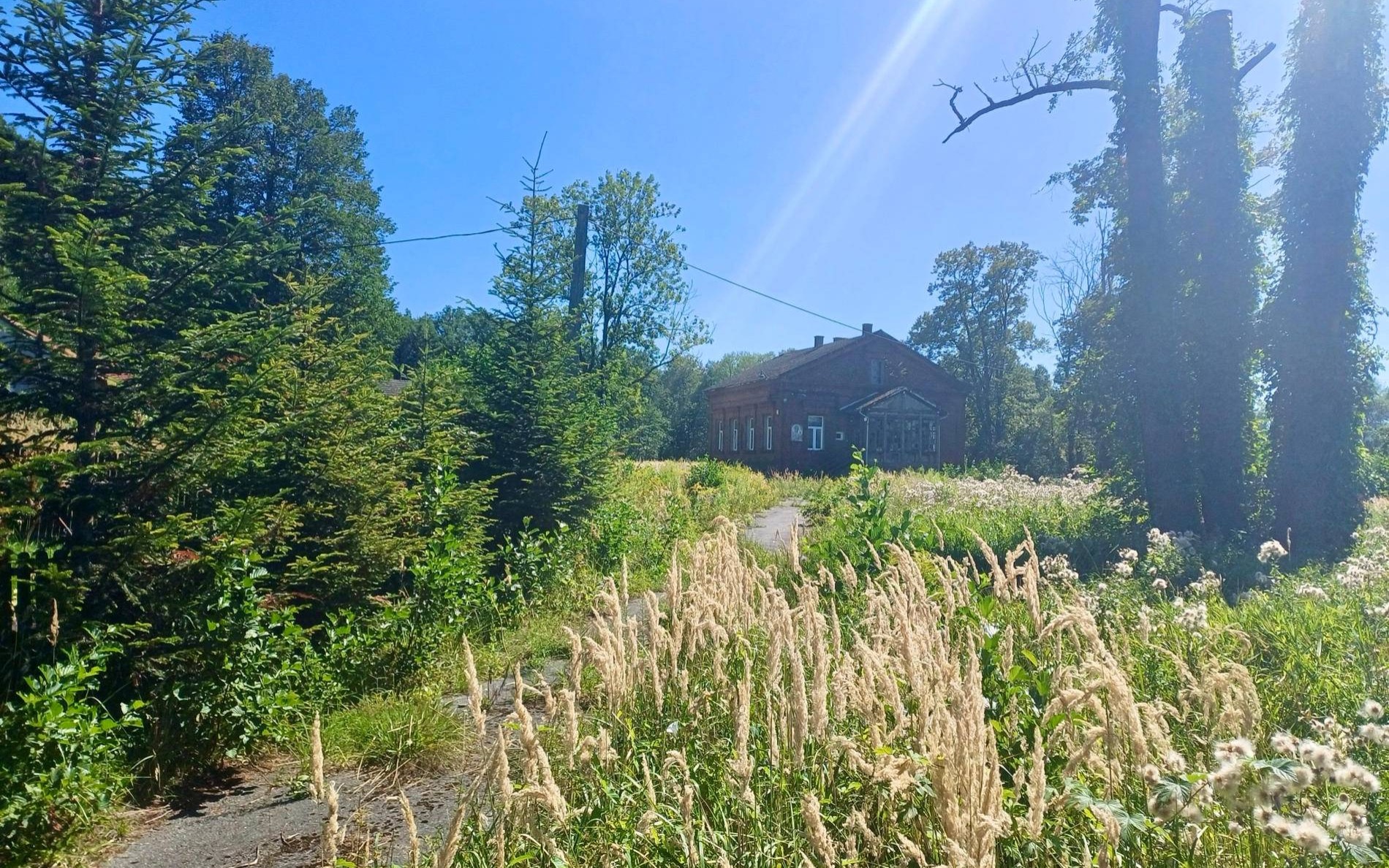 Od „Szmejówki” do młyna. Chodźmy na spacer – FOTO