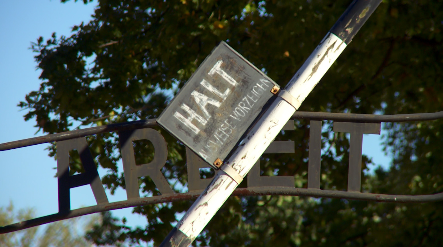 Gaza głoduje. Czy z Oświęcimia popłynie apel o człowieczeństwo?