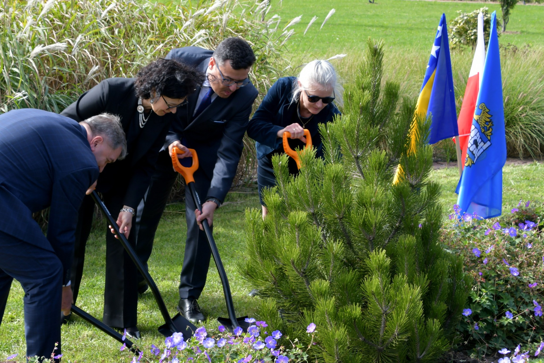Sarajewo w sercu Oświęcimia – wyjątkowe drzewo, które przemawia do świata