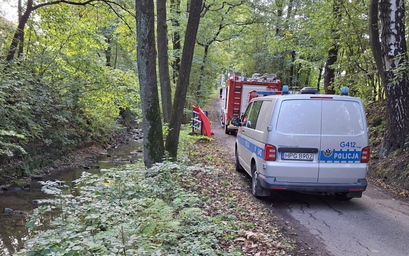 Tragedia o poranku w Bulowicach. Ciało 66-latka znalezione w potoku