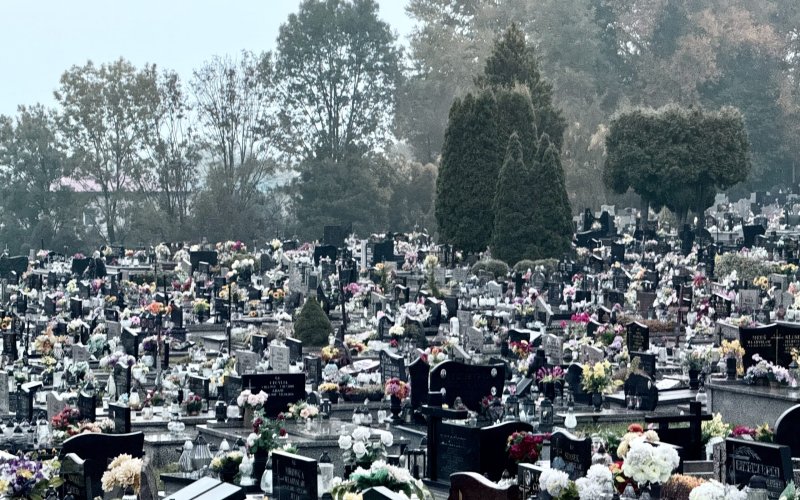 Zmiana organizacji ruchu przy cmentarzu komunalnym. Sprawdź, jak dojechać na Wszystkich Świętych