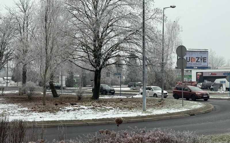 W Oświęcimiu odsłonięto Skwer Praw Kobiet. Symboliczna uroczystość, która przejdzie do historii