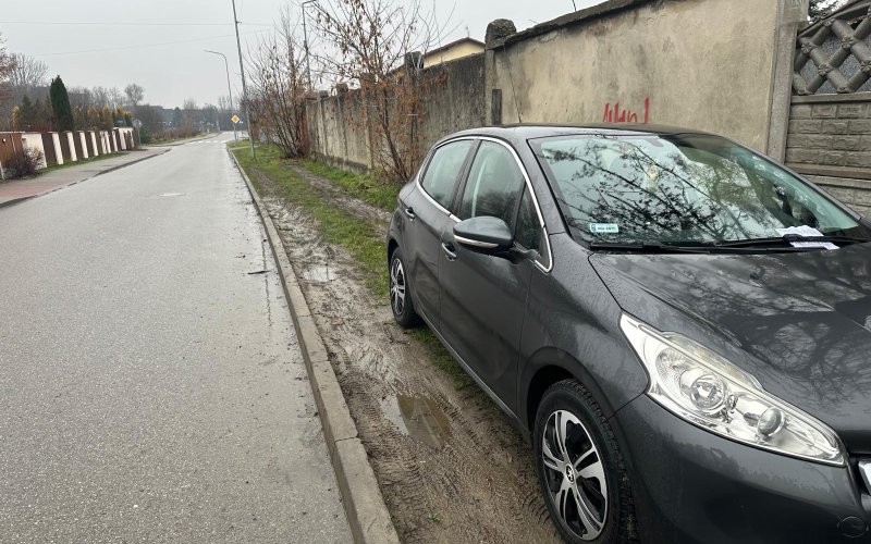 Gehenna z parkowaniem. Mandaty nie rozwiązują problemu