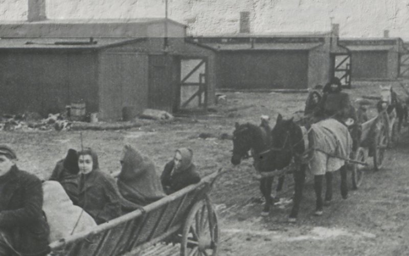 Wyzwolenie Auschwitz i tragedia Marszu Śmierci