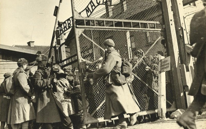 81. rocznica wyzwolenia Auschwitz i Oświęcimia. Sprawdź pełny harmonogram obchodów