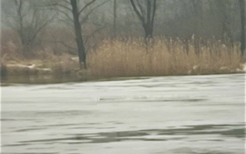 Skakali po lodzie na Sole. Chwila zabawy mogła skończyć się tragedią