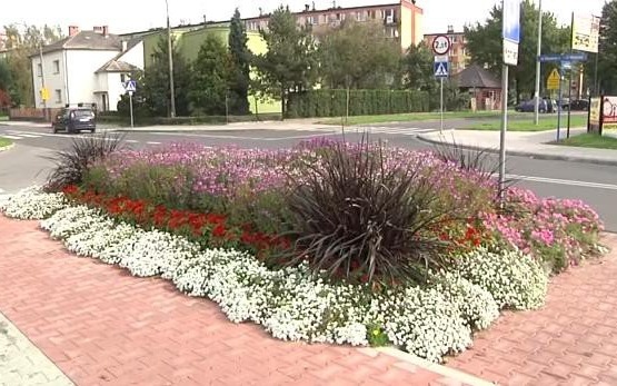 VIDEO-OŚWIĘCIM. Wieści z Ratusza 20 luty 2015