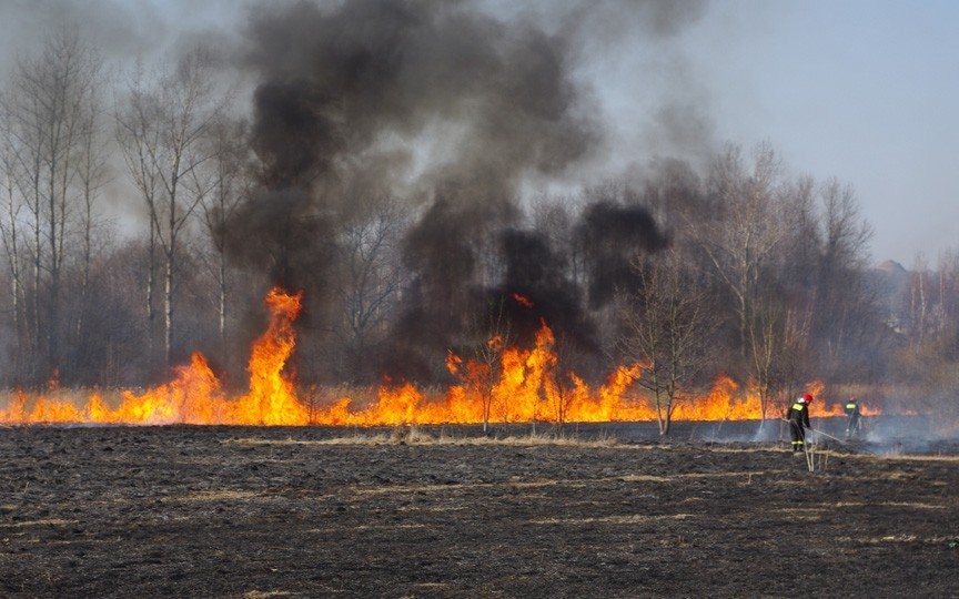 POWIAT. Stop wypalaniu traw 2015