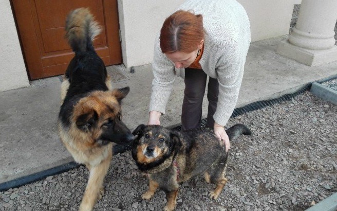 OŚWIĘCIM. Szczęśliwe chwile czyli…adopcje!