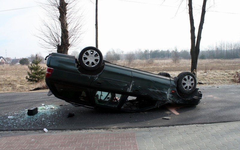 CHEŁMEK. Uderzył w drzewo, dachował i nie zginął