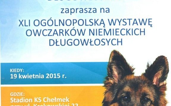 CHEŁMEK. Wystawa owczarków niemieckich długowłosych