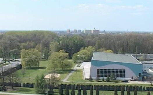 VIDEO-OŚWIĘCIM. Prezydent chce wyciąć 1800 drzew, a posadzić 150?