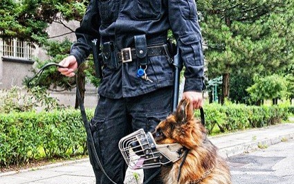 KĘTY. Złodziejka okrada mieszkania starszych osób