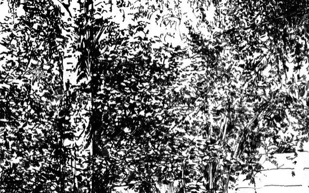 OŚWIĘCIM. Paweł Warchoł podbija Europę