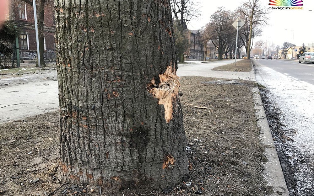 FOTOGALERIA. Nowe zdjęcia z miejsca wypadku premier Beaty Szydło