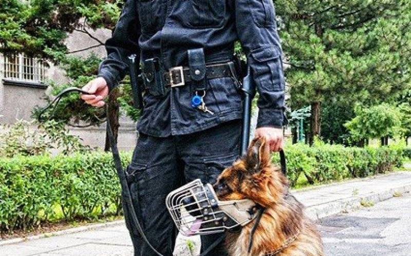 KĘTY. Udane poszukiwania desperatki