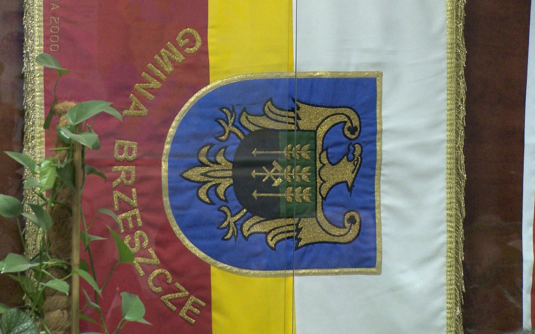 VIDEO-BRZESZCZE. Radni zaproponowali rozwiązanie szkoły