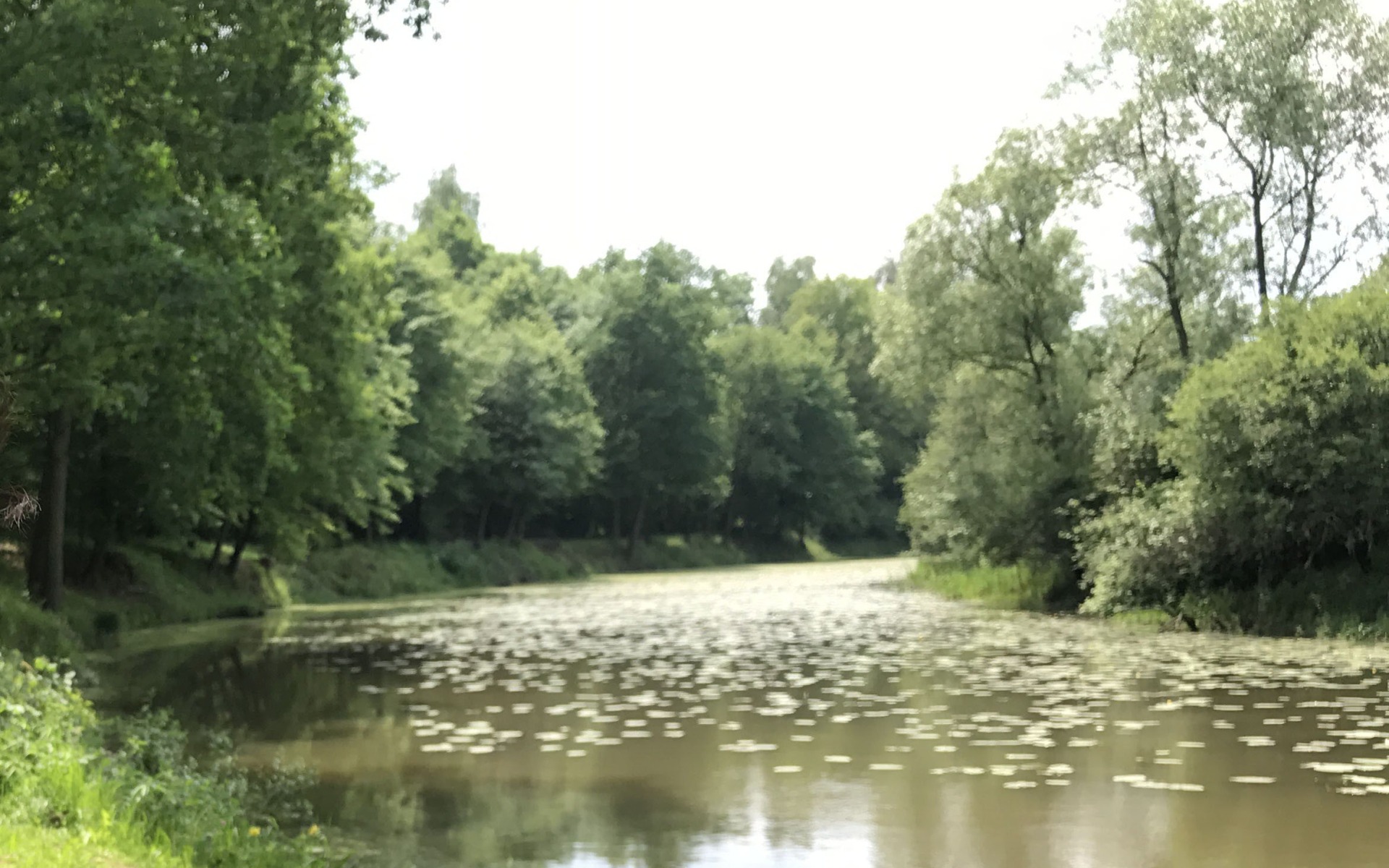 BRZEZINKA. Poszukiwany 18-latek nie żyje