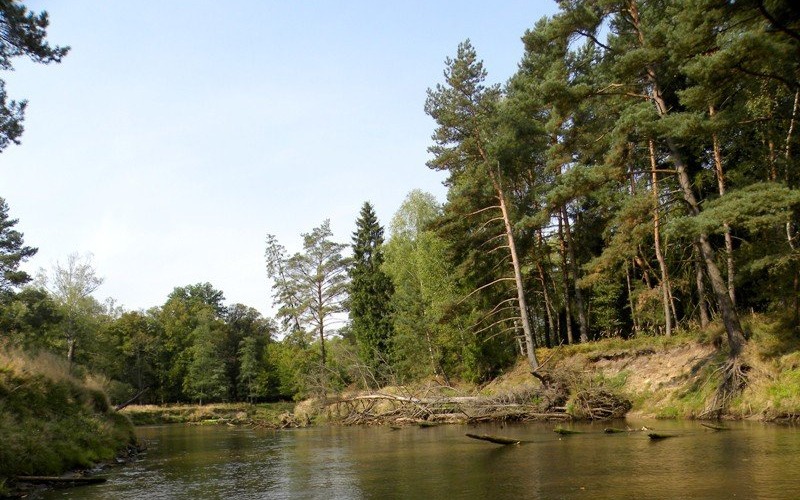 CHEŁMEK. Wyjazd w Bory Stabrawskie i na Równinę Opolską