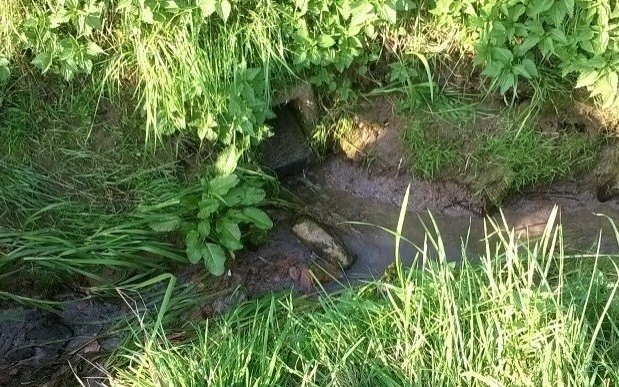 PIOTROWICE. Niewypał z II Wojny Światowej