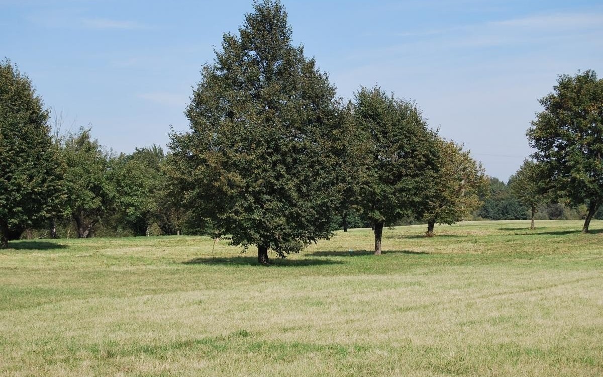 OŚWIĘCIM. Na Kamieńcu powstanie kolejny park